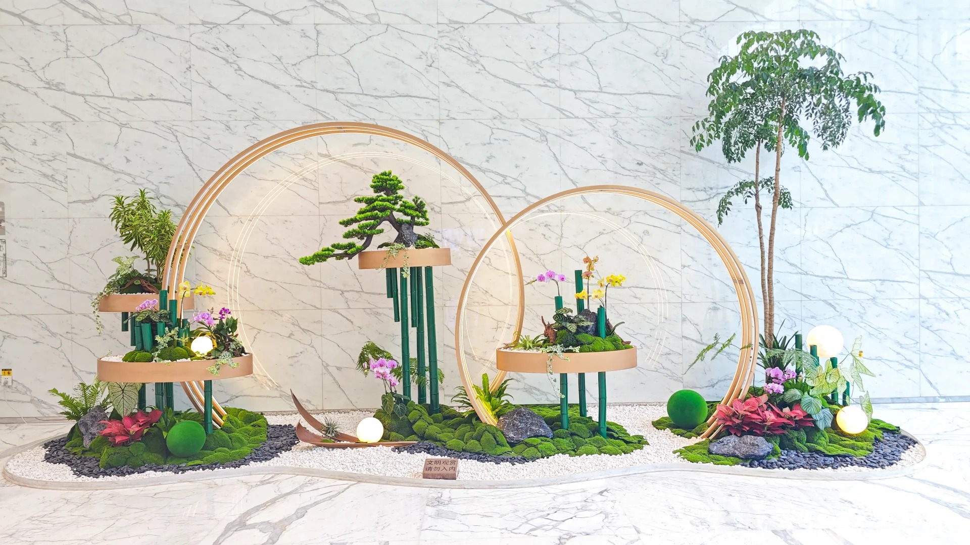 专业花木出租助力宁波前湾,焕新您的环境之美